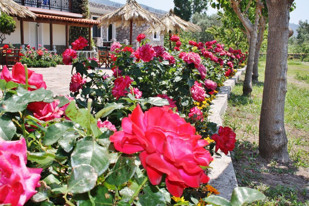Villa Vicky Pétra Kültér fotó