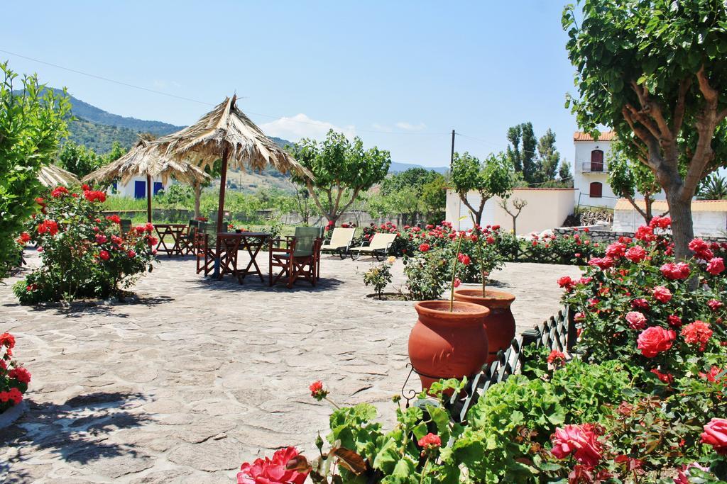 Villa Vicky Pétra Kültér fotó
